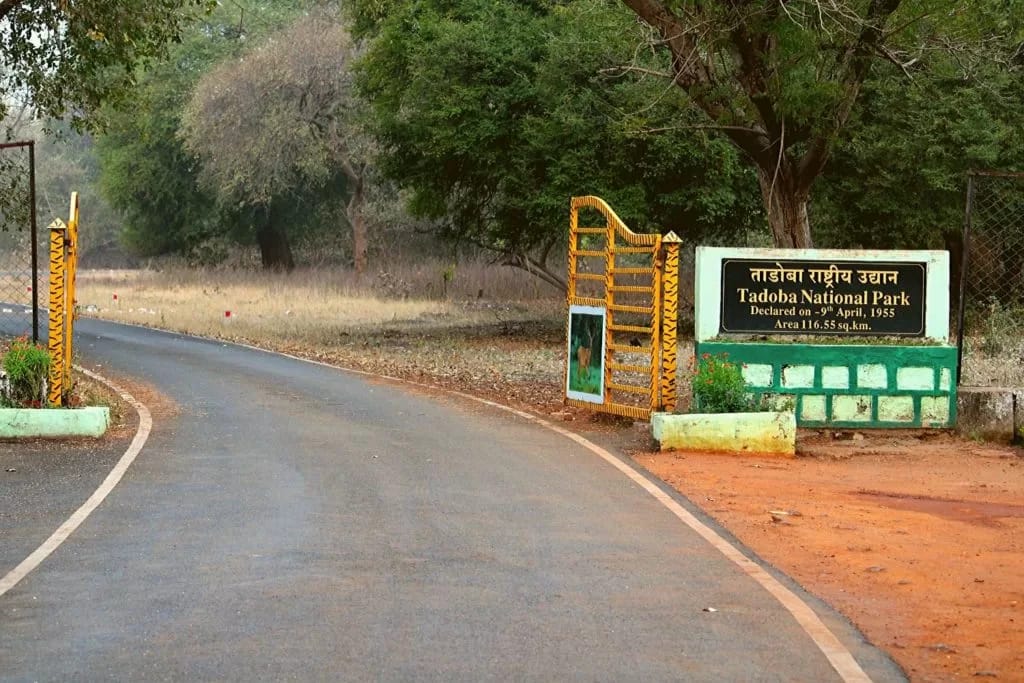 How To Reach Tadoba