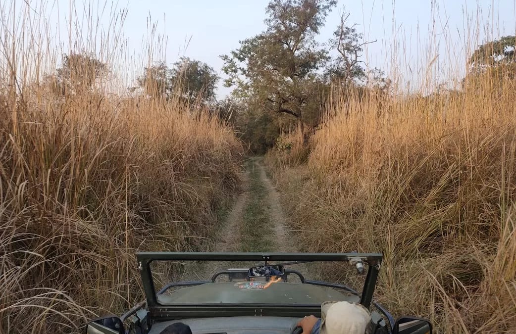 How To Reach Tadoba