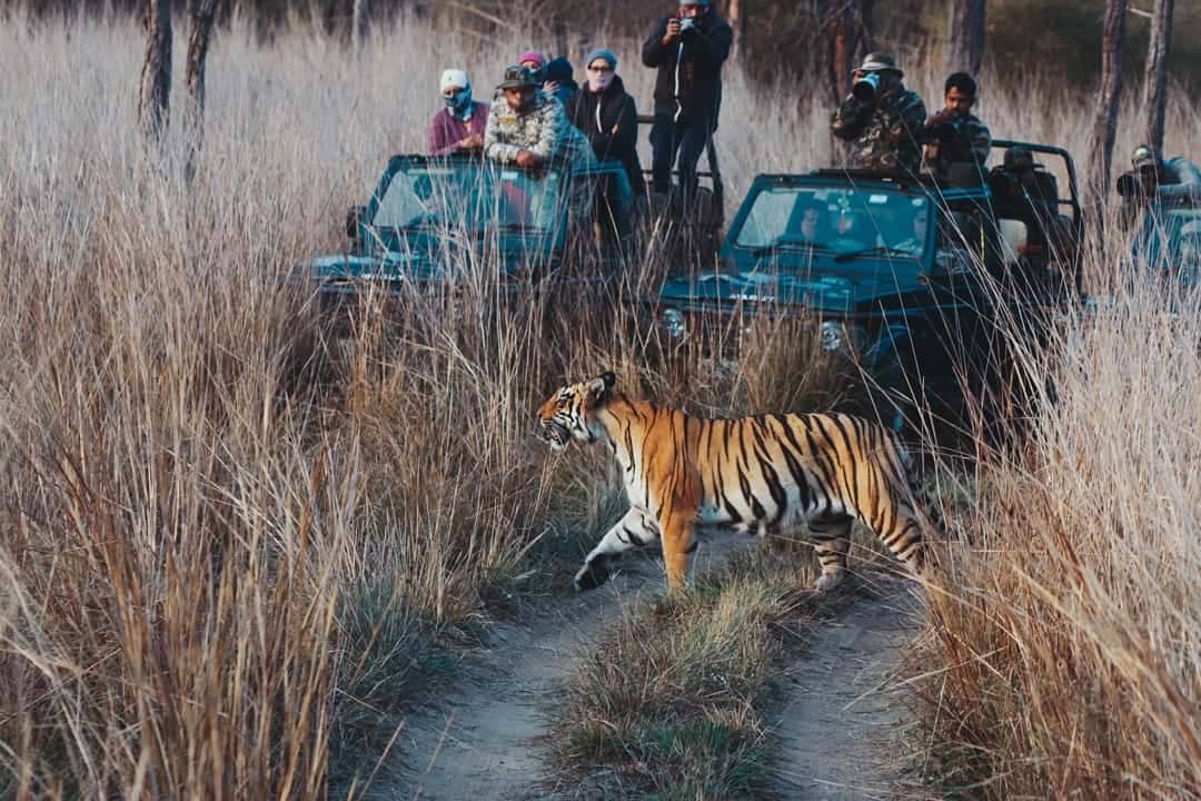 Tadoba Summer Package