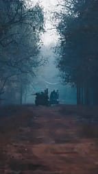 Tadoba Jungle Safari