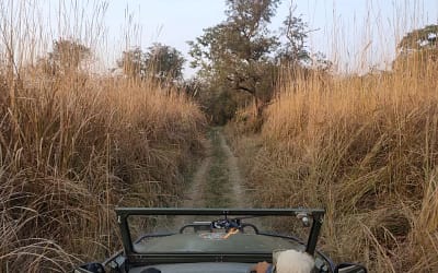 How To Reach Tadoba