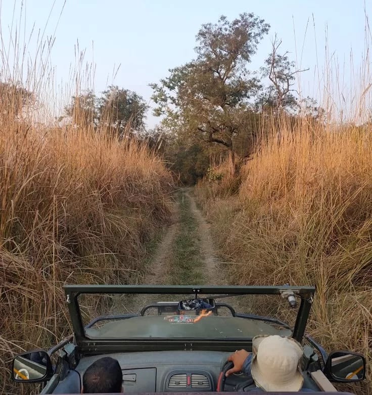 Tadoba Flora and Fauna